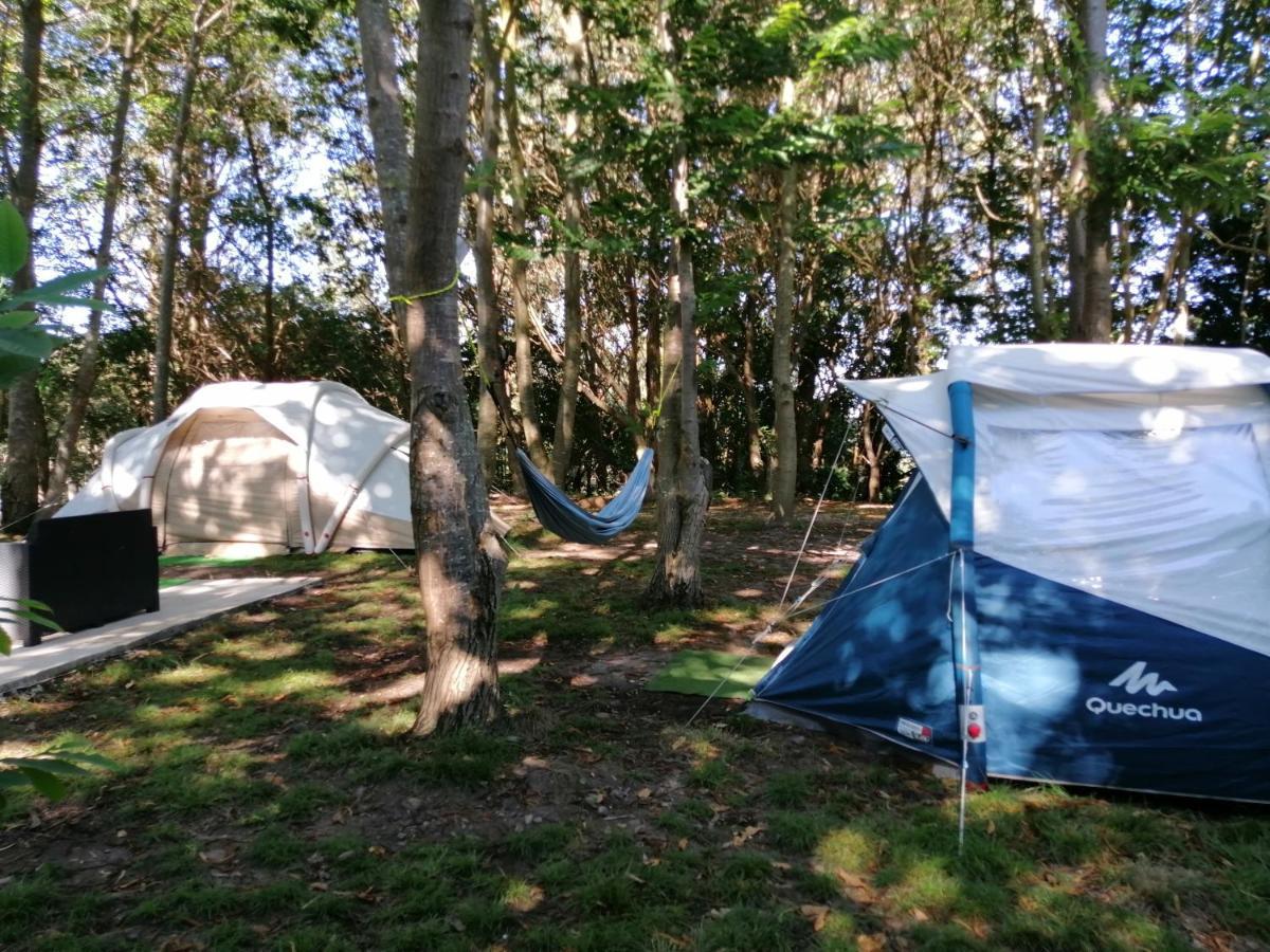 La Finca - Campamento En La Naturaleza Carranceja Eksteriør billede