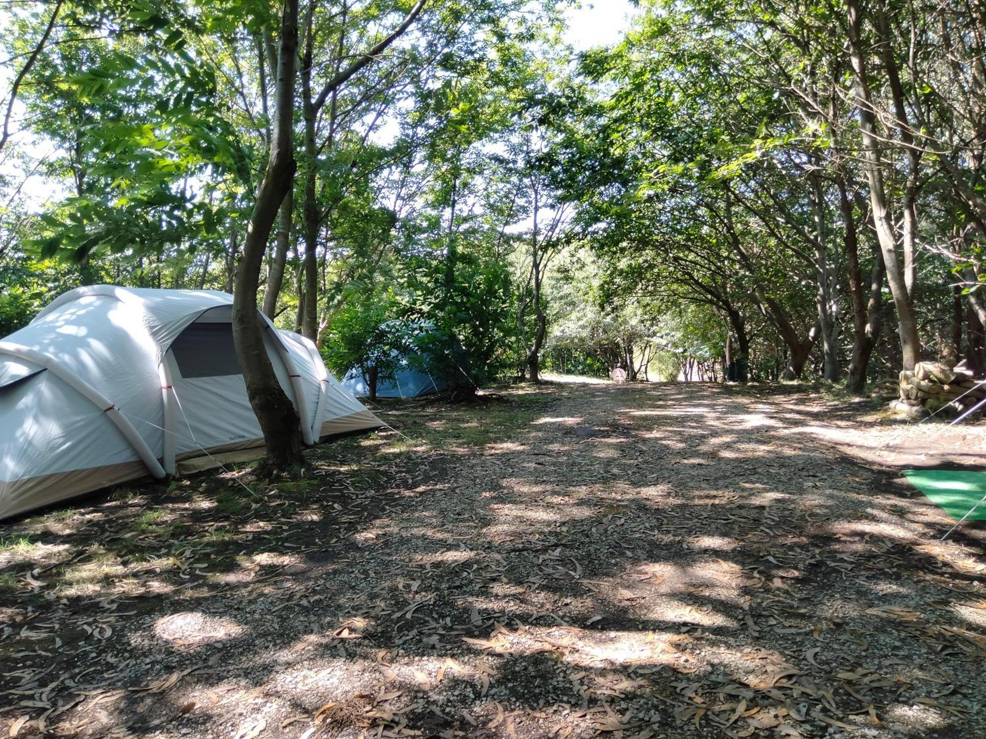 La Finca - Campamento En La Naturaleza Carranceja Eksteriør billede