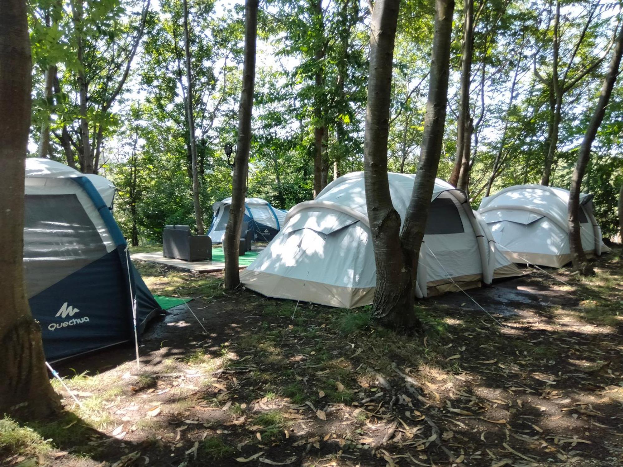 La Finca - Campamento En La Naturaleza Carranceja Værelse billede